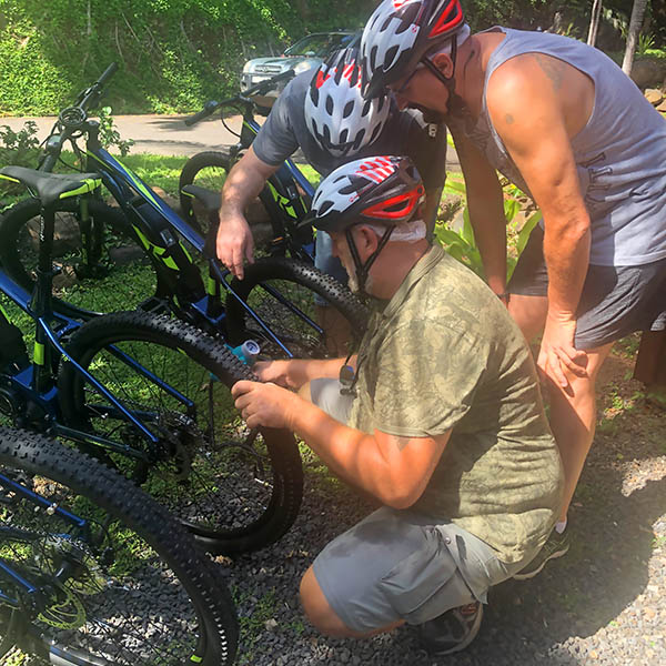 Prestations Prestations